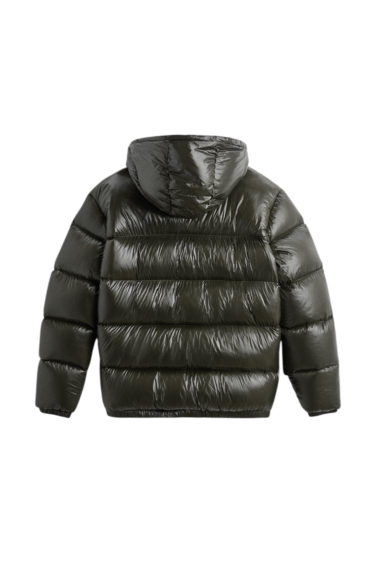 Ciemnozielona, błyszcząca Kurtka Outlet Arkadya Pikowana Męska Krótka Długość Konstrukcja Komorowa z kapturem pokazanym od tyłu na białym tle, z poziomym pikowaniem i długimi rękawami.