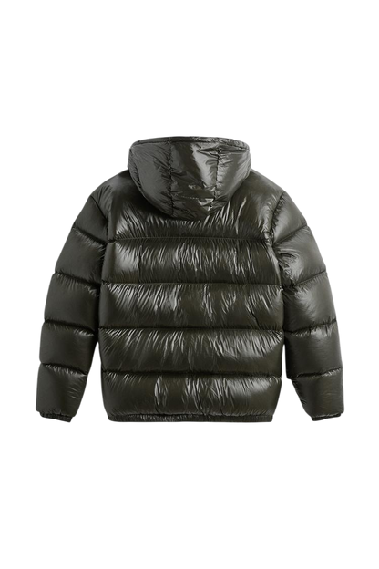 Ciemnozielona, błyszcząca Kurtka Outlet Arkadya Pikowana Męska Krótka Długość Konstrukcja Komorowa z kapturem pokazanym od tyłu na białym tle, z poziomym pikowaniem i długimi rękawami.