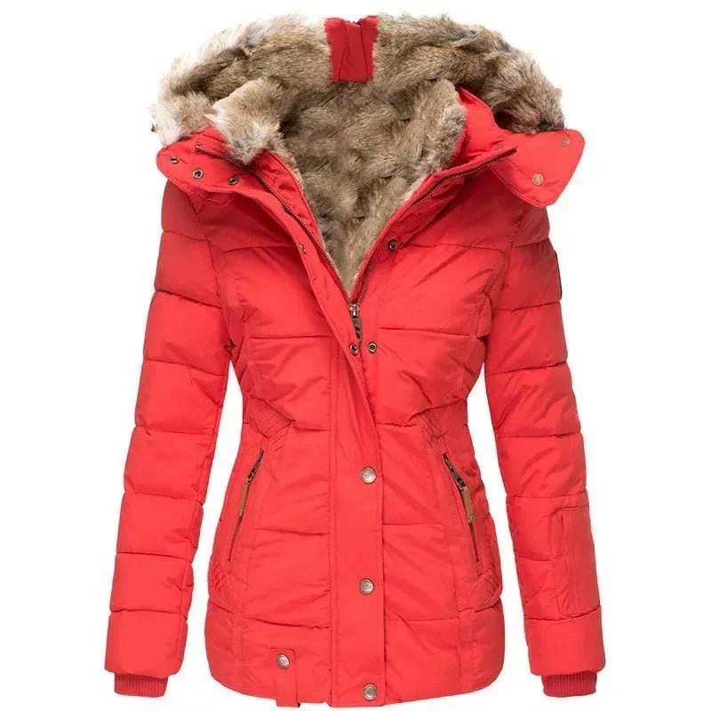 Kurtka Damska | Dopasowany Krój z Podszytą Kapturem na Zimę - Arkadya Outlet - Jackets