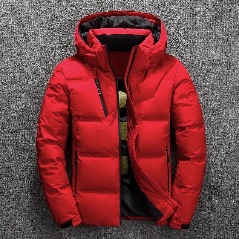 Kurtka Męska Pikowana | Zamek Błyskawiczny i Wkład Puchowy - Arkadya Outlet - Jackets