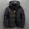 Kurtka Męska Pikowana | Zamek Błyskawiczny i Wkład Puchowy - Arkadya Outlet - Jackets